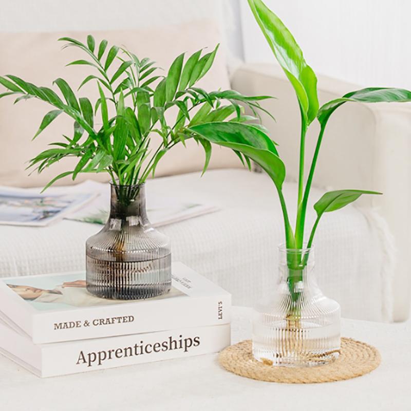 Hydroponic Flower Pot Home Vase Decoration Transparent Plastic Soilless Pot Green Pot Home Decoration