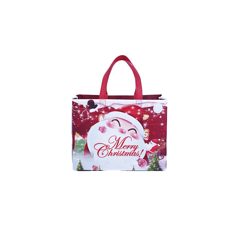 Christmas Style Laminated Non-Woven Gift Bag for Clothing & Shopping