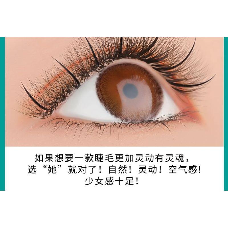 Bonnie Wisp - Natural Individual Multipack False Eyelashes (Various Designs)