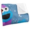 Sesame Street Furry Friends Snow Blanket