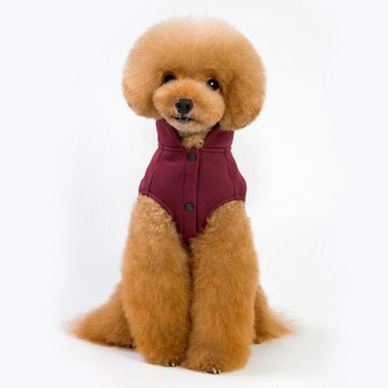 Wearable harness dog clothes