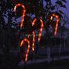 24TE Christmas Candy Cane Lights Set Led Solar or Battery Powered Light Landscape