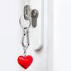 4Pcs Metal Carabiner Shape Key Ring Keyring Carabiner Clip Keychain Holder Clips Hook Holder Organizer for Car Keys Finder Amagi