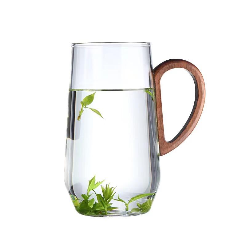 Borosilicate Glass Teacup with Handle