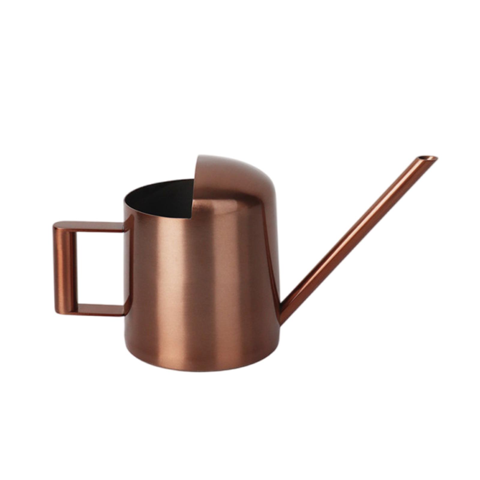 

Комнатная лейка для комнатных растений Лейка из нержавеющей стали Металлическая с длинным носиком Горшки для полива комнатных растений 300 мл бронзовый