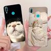 Telefon kapları – Smartphone Bumper Kılıflar