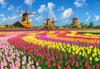 Puzzle 1000 Pieces C-105540-2 Dutch Windmills Among Tulips