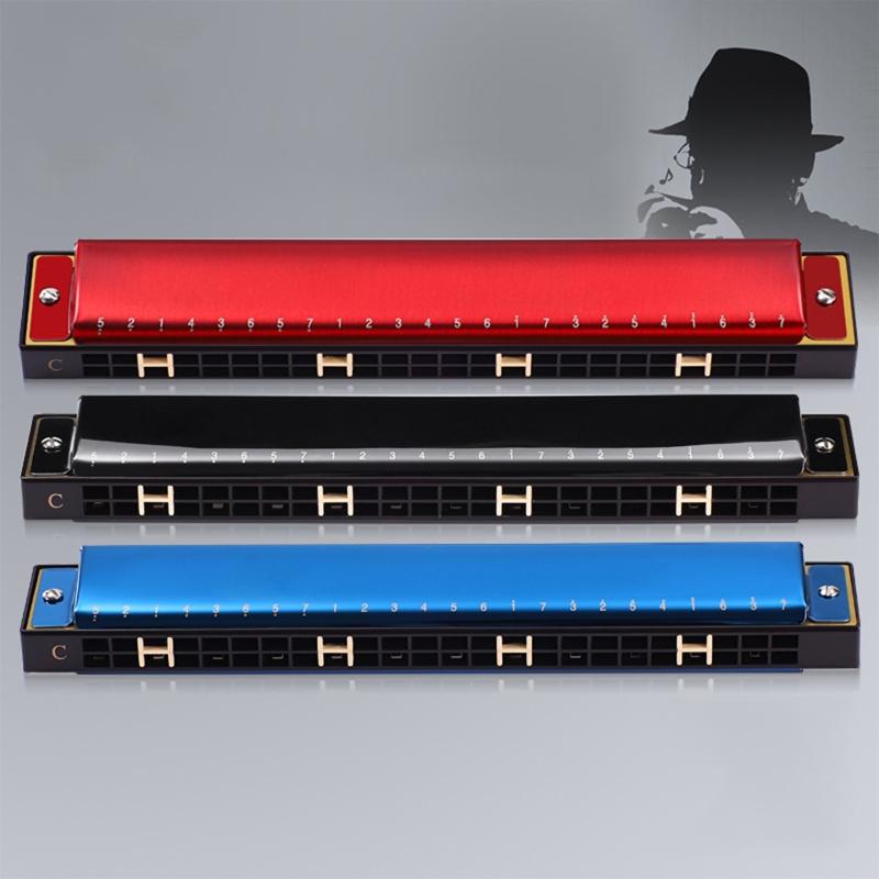 24-Hole Professional Harmonica for Beginners, Diatonic Double Tremolo Harmonica for Adults Music Student Teacher Gift
