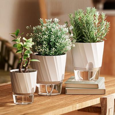 Vaso per Piante Auto-irrigante Fioriera con Serbatoio Trasparente Fioriera con Corde Wick e Fori di Drenaggio per Orchidee Violetta Africana Succulente Piante da Interno