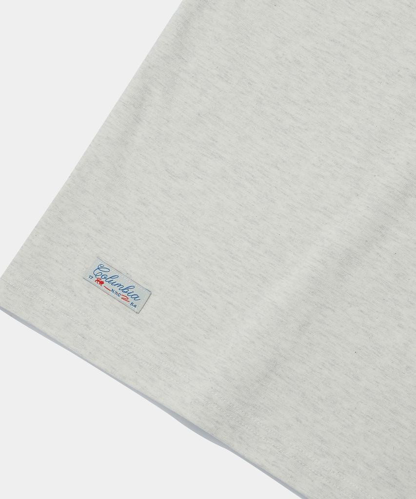 COLUMBIA UNIVERSITY Vtg Crack Logo S/S T-Shirts Oatmeal
