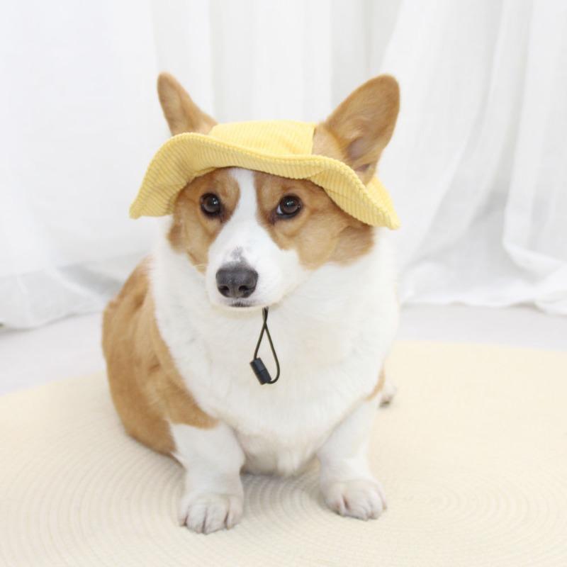 Cute Dog Hat Open Ears Pet Bucket Hat Sunshade Dress Corgi Sunscreen Small Yellow Hat