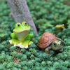 yangyizhi Mini Resin Frog And Turtle Statues, Micro Landscape Animal Ornaments, Small Figurines for Succulents Pots Moss Tanks Tabletop Gardening