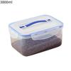 Transparent Handled Refrigerator Food Storage Box