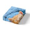 Cute Kitten Three-Piece Quilt Cover 3D Digital Printing Bedding Set Bed Cover