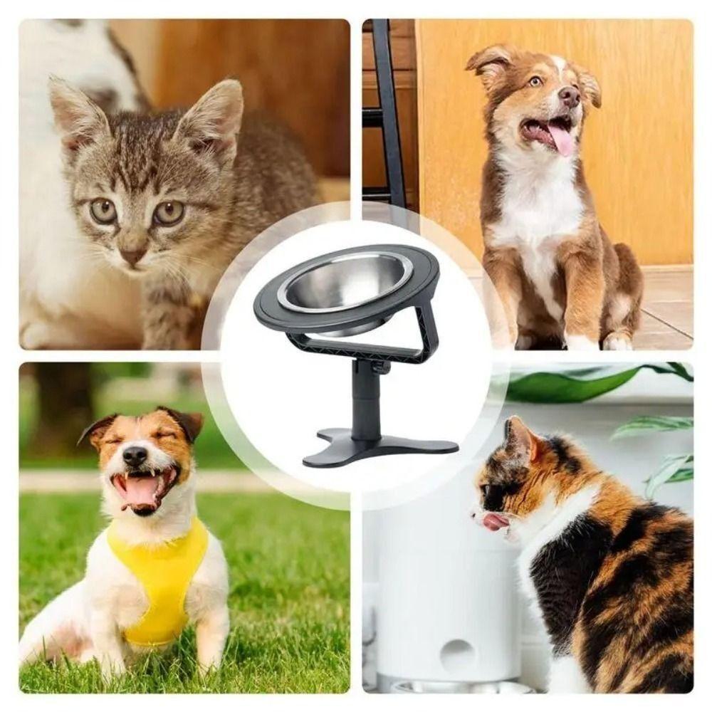

Stainless Steel Dog Bowl ABS Cat Bowl High Quality Pet Bowl Dog
