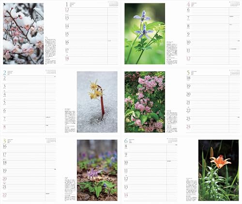 Calendar 2026 FLOWER CALENDAR Flower Calendar (Monthly Diary/Diary/Ring/Flower) (Yamakei Calendar 2026)