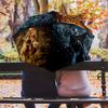 Fantasy Realms: Magic Mystery Folding umbrella durable Suitable for all seasons light travel Sun umbrella