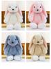 Plush Rabbit Doll - Comforting Toy for Kids, Hand-held Baby Sleep Aid, Perfect Birthday Gift for Children