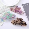 Colorful Acetate Large Dopamine Hair Claw - High-End Hairpin Accessory