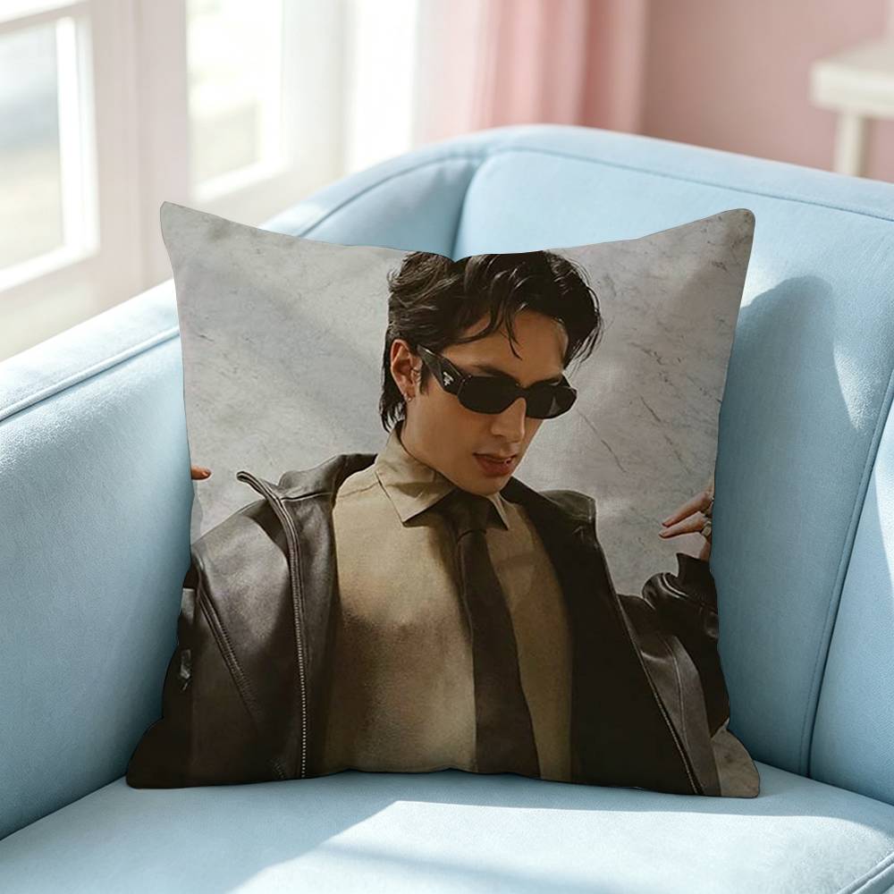 Hudson WWilliams SShane Hollander Pillow Case Square DoubleSided Sofa Cushion Cover Bedroom Bedside Pillow