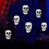 Halloween Hanging Skull Decoration Realistic Plastic Human Head Prop Spooky Skeleton Head Ornament with Lanyard for Home Party Haunted House Decor