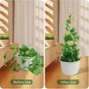 Plant Climbing Stand Easy Installation Sturdy Construction Anti-rust Heavy-duty Weatherproof Plant Stand