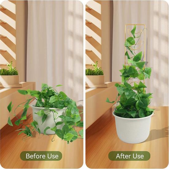Plant Climbing Stand Easy Installation Sturdy Construction Anti-rust Heavy-duty Weatherproof Plant Stand