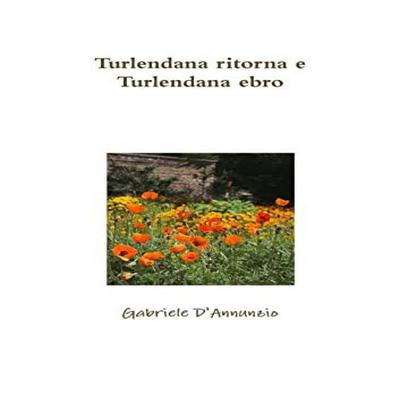 Populärwissenschaftliche Literatur – Geschichte & Politik