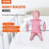 Infant CPR Training Manikin, Heimlich Maneuver and Cardiopulmonary Resuscitation (CPR) Practice, Professional Infant Airway Obstruction Training