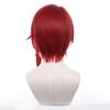 Ensemble Cosplay Natsume Disguise Anime Perfect for Everyday Cultural School Cosplay Wig Net Included Stars!/!! Wig, Sakasaki, Costume, Wig,