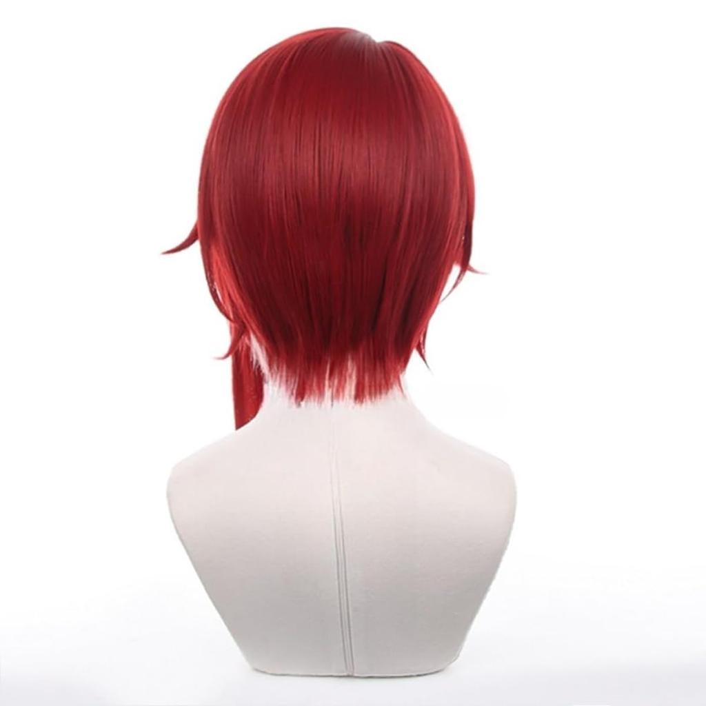 Ensemble Cosplay Natsume Disguise Anime Perfect for Everyday Cultural School Cosplay Wig Net Included Stars!/!! Wig, Sakasaki, Costume, Wig,