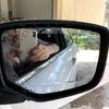 Transparent Rain-proof Rearview Mirror Car Rearview Mirror Protective Film Anti-fog Window Protective Soft Film Sticker