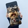 For Vivo S1 Pro Case 1920 PD1945F_EX Cover Lovely Cat Soft Liquid Silicone Matte Phone Case For Vivo X50 Lite V17 Russia Coque