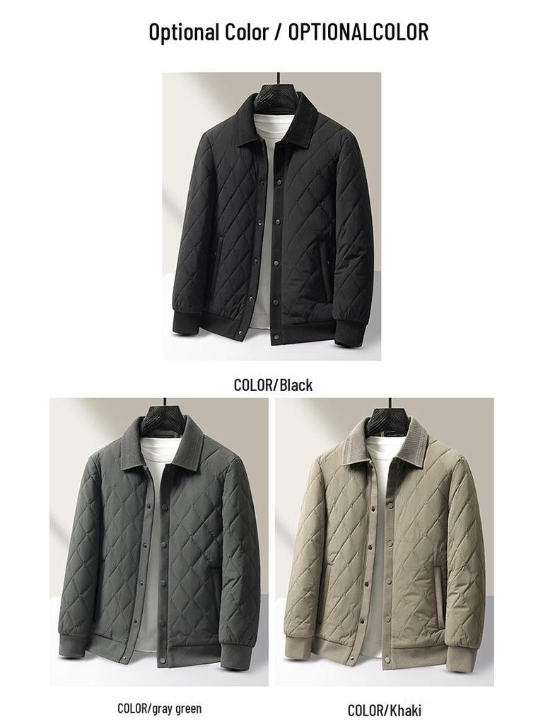Men's Winter Ribbed Collar Cotton Mulberry Silk Jacket - Business Casual Outerwear