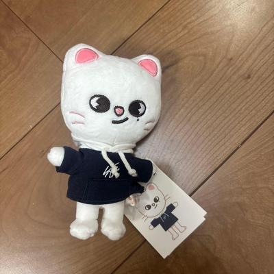 [USED] Hyunjin Plush Toy