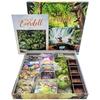 Everdell Strategy Board Game Forest City-Building Card Drafting Family Game 1-4 Players