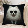 1pc Cool Glasses Fashion Samoyed Pillowcase, Soft And Comfortable Short Plush Fabric, Single-S Sided Printing, Without Pillow Insert 44.96X44.96cm Mac
