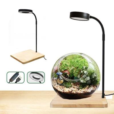 10W Fish Tank LED Lamp with Wood Board Retractable Height Aquarium Landscape Lights USB Charging Energy Saving
