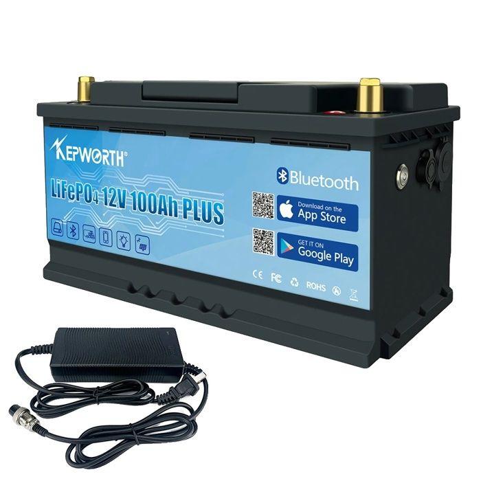 LiFePO4 Battery - OEM - 12V