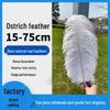 Ostrich Feathers for Wedding or Stage Decor, 15-75cm