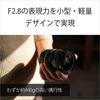 SONY (Sony) Standard Zoom Lens Full Size FE 24-50mm F2.8 G Lens Genuine Lens for Digital SLR Came...