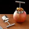 Molde para Bolinho de Arroz Descascador de Núcleo de Frutas Cortador de Núcleo de Pera Separador de Sementes de Frutas de Aço Inoxidável Para Acessórios de Cozinha
