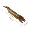 Fake Shrimp Model Realistic Marine Ocean Toy Home Kitchens Cabinet Decoration