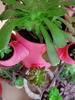 Handmade PVC Pipe Succulent Flower Stand: Multi-layer 3D Balcony Plant Shelf