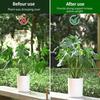 10 Stück Zweig Pflanzenstützhalter Baumast Pflanzenstäbe Abnehmbares Rankgitter für Garten Topfblume Moosstab