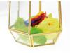 Retro Geometric Glass Dome Greenhouse: Creative Micro Landscape Decorative Vase for Home and Coffee Shop.