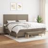 3137105 vidaXL Divan Bed with Mattress Taupe 200x200 Cm Fabric