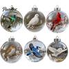 Collectible Bird Glass Ornaments Nature Faux Crystal Ornament Handmade 3D Warmth And Meaning Set Clear Plastic Christmas Ball Holiday Decor Loved One