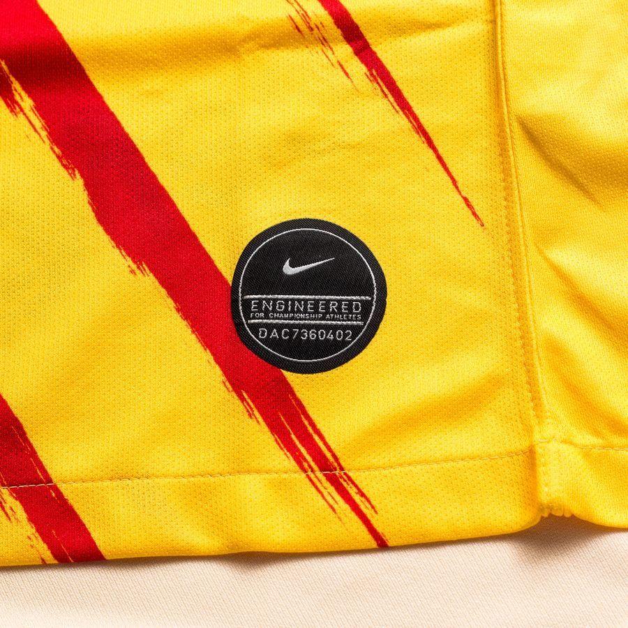Nike Round-Neck Pullover Short-Sleeve Football Jersey, 19-20 Season, FC Barcelona Men Tops Yellow CT2527-727