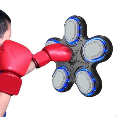 Box a bojová umění – Boxovací pytle